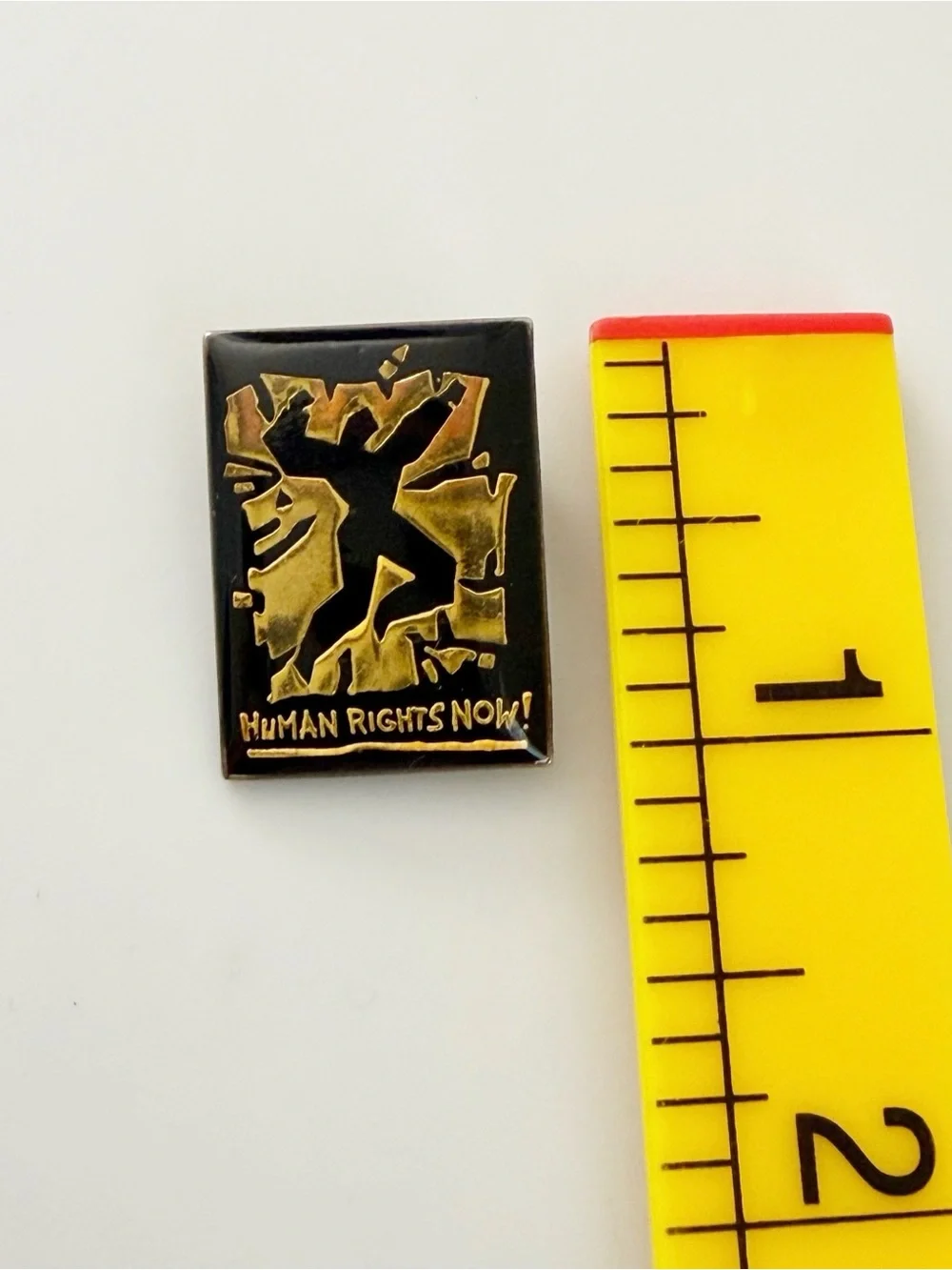 Human Rights Now 80's World Tour Reebok Sponsored Sterling Plated Pin